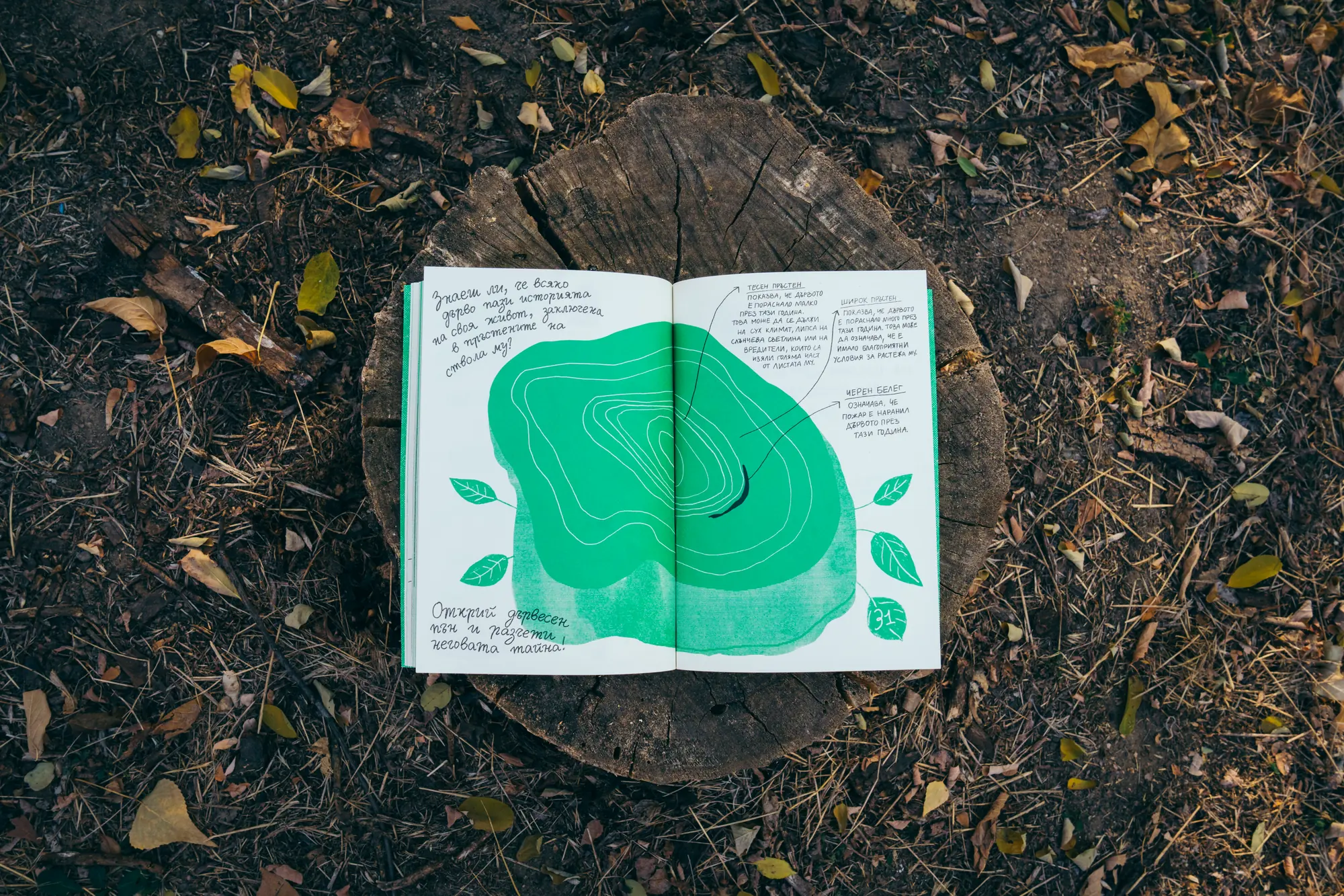 The Green Book Of Plovdiv